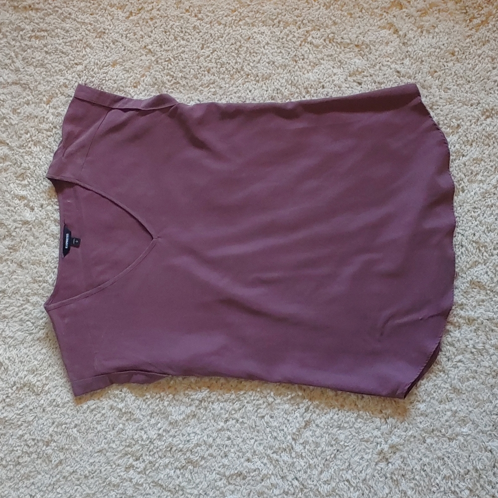 Express Vneck shirt